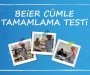 BEİER CÜMLE TAMAMLAMA TESTİ